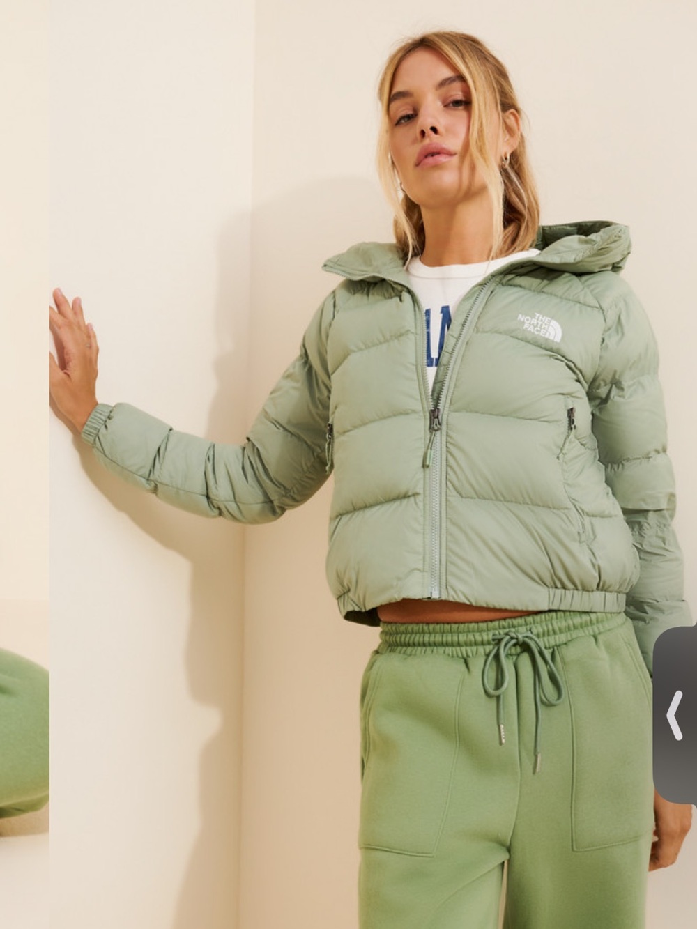North face jacket